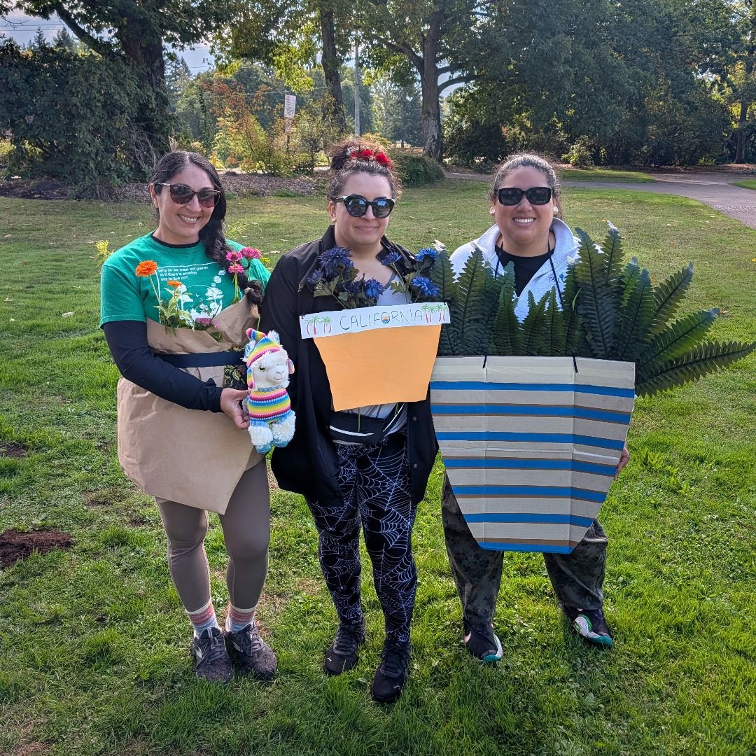 Everyone Loves a Theme!